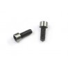 Steering mount screw 4-X x2 pcs