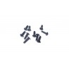 6244 - Screw 3x10 mm x10 pcs