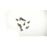 6575 - Screw M2x5 mm x10 pcs